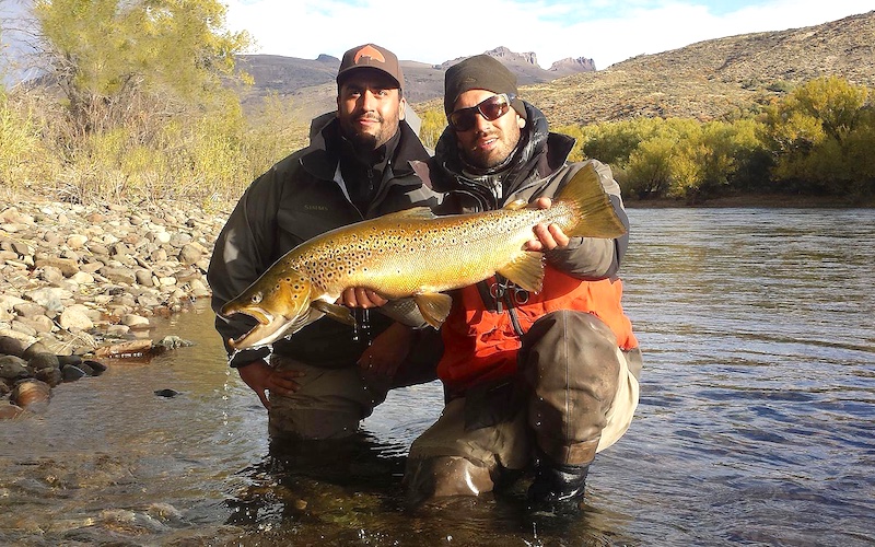 big brown rainbow trout patagonia-trout-guides-adventure-brown-rainbow-hatch-lakes-rivers-fontinalis