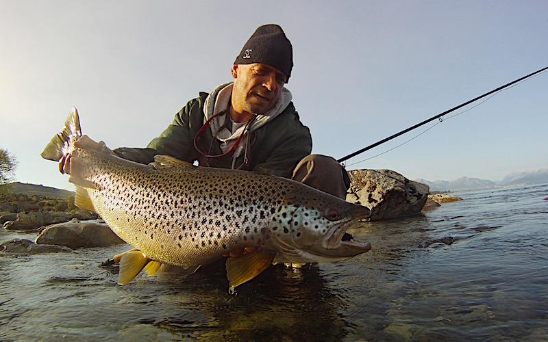 fly-fishing-bariloche-guides-patagonia-fly-fishing-patagonia-bariloche-lakes-rivers-hatch-trout-brown-rainbow-adventure-rods-mayfly-stonefly-guides-camps-trips-fontilalis